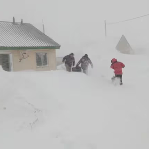 尔滨大雪人设计灵感之源_反馈目标和标准