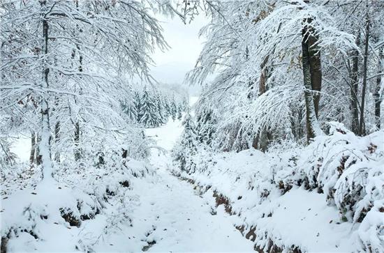 毛不易冬至送广州一场雪