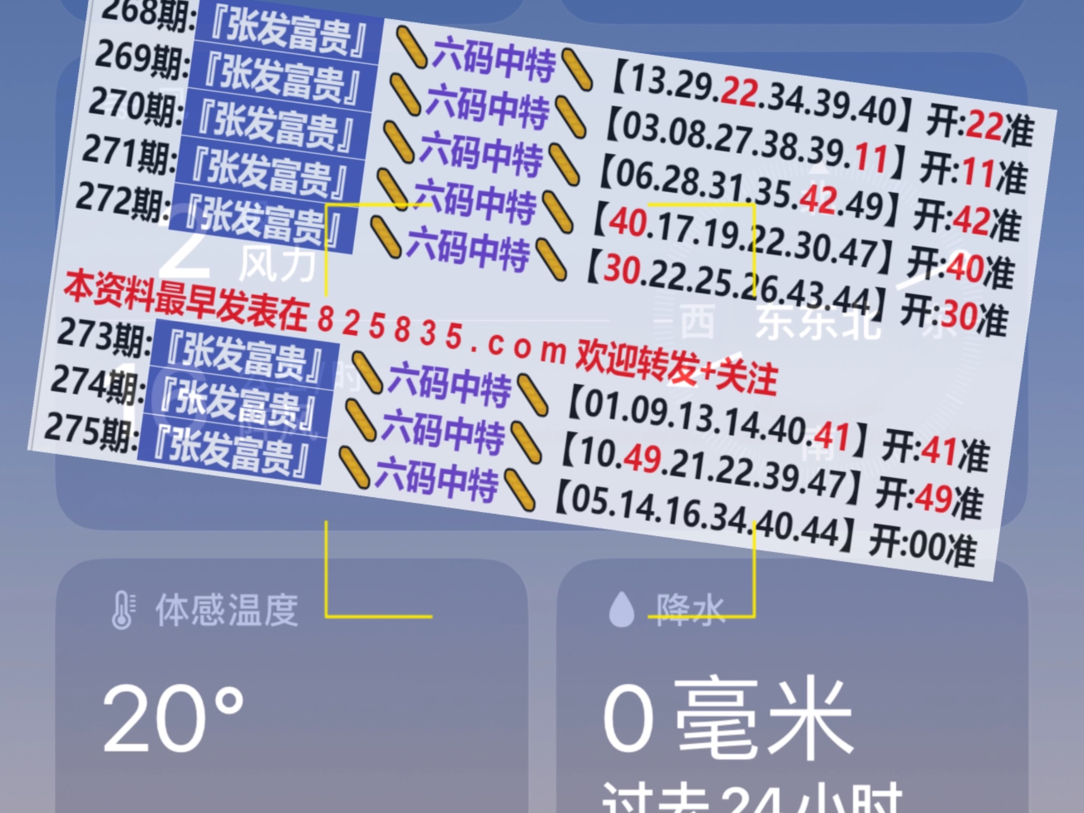 2024新奥门天天开好彩大全85期