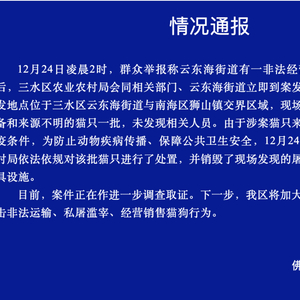 近百只猫水塘溺亡的悲剧，反思与警醒