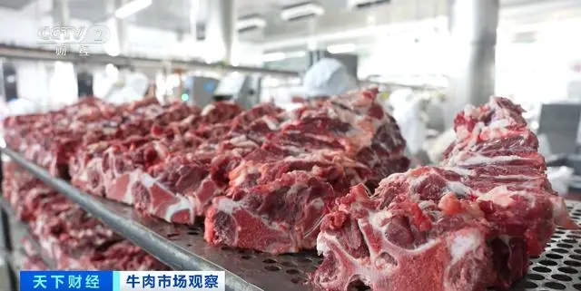 牛肉市场风云变幻，价格跌至五年新低