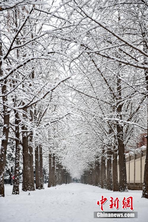 日本大雪2020年