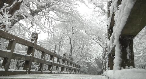 南方多地将迎来大范围降雪