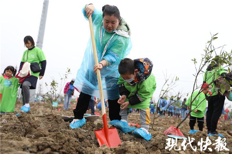 救护车停田里摘柑橘，一场意外的丰收体验