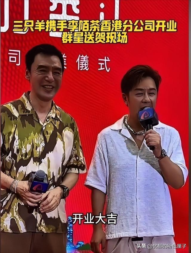 疯狂小杨哥与三只羊的纷争，探究背后的故事与启示