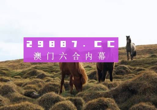 2023新澳门免费开奖记录——新机遇与挑战的深度分析