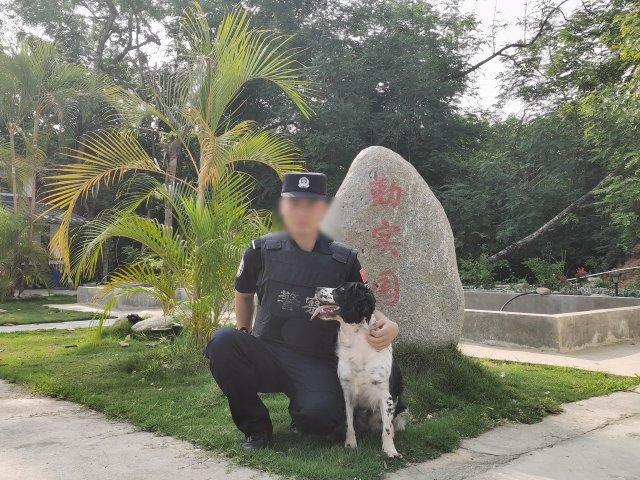 云南一警犬连续4周被基地“通报”