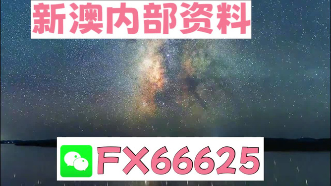 新澳2024正版资料免费公开——成功之路的关键要素