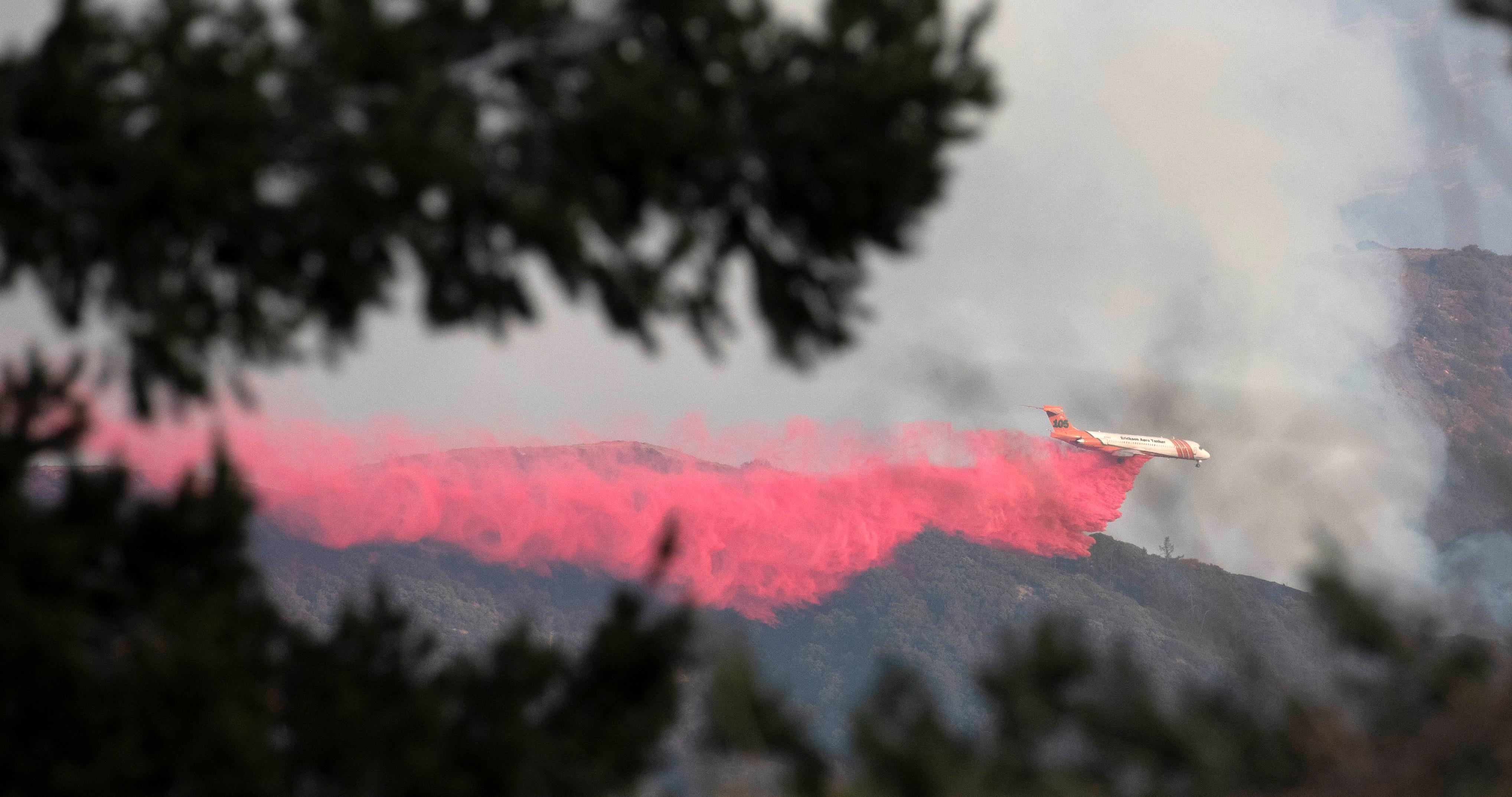 洛杉矶森林山火后的黑暗，生态灾难与重建之路