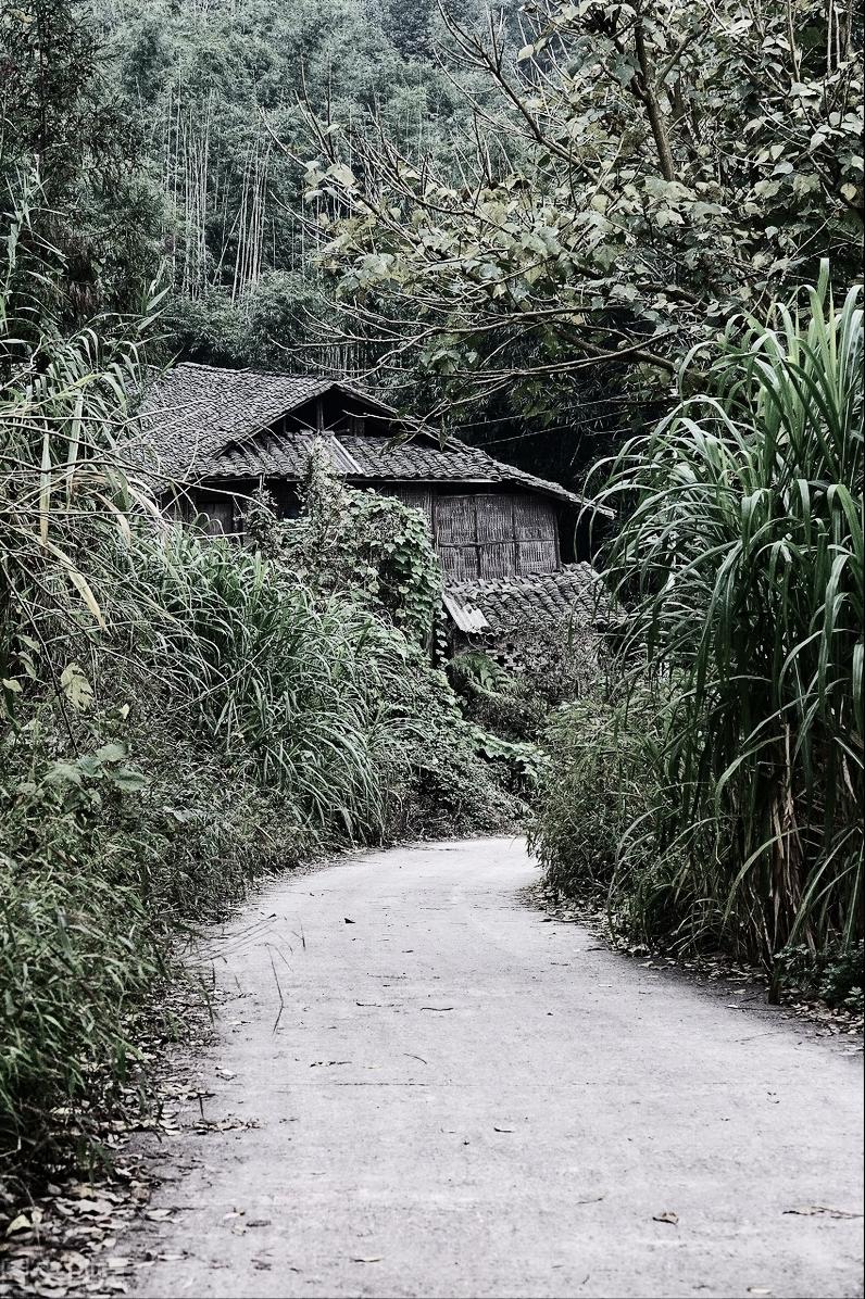 地窖酿酒引发的悲剧，一死一昏迷的警示