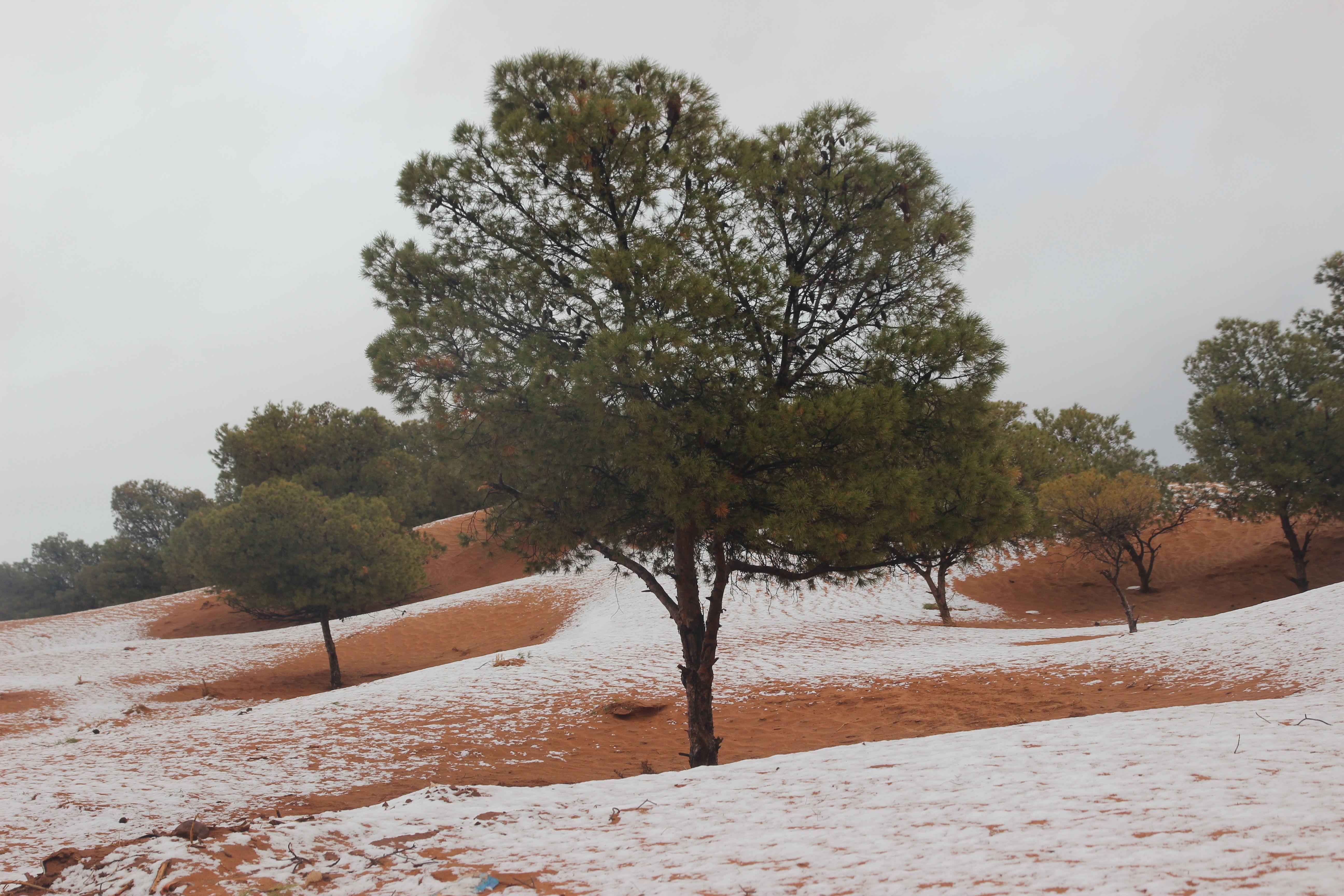 塔克拉玛干沙漠降雪，沙海变雪海的奇观