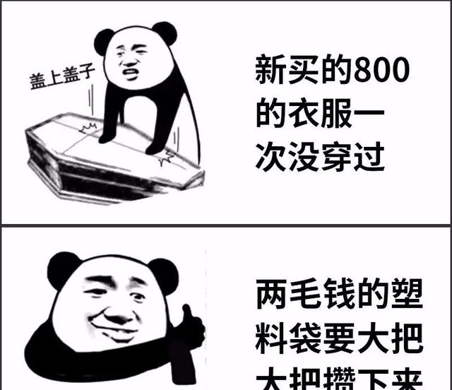 主人已将艾特遗体带回家，一段不为人知的故事