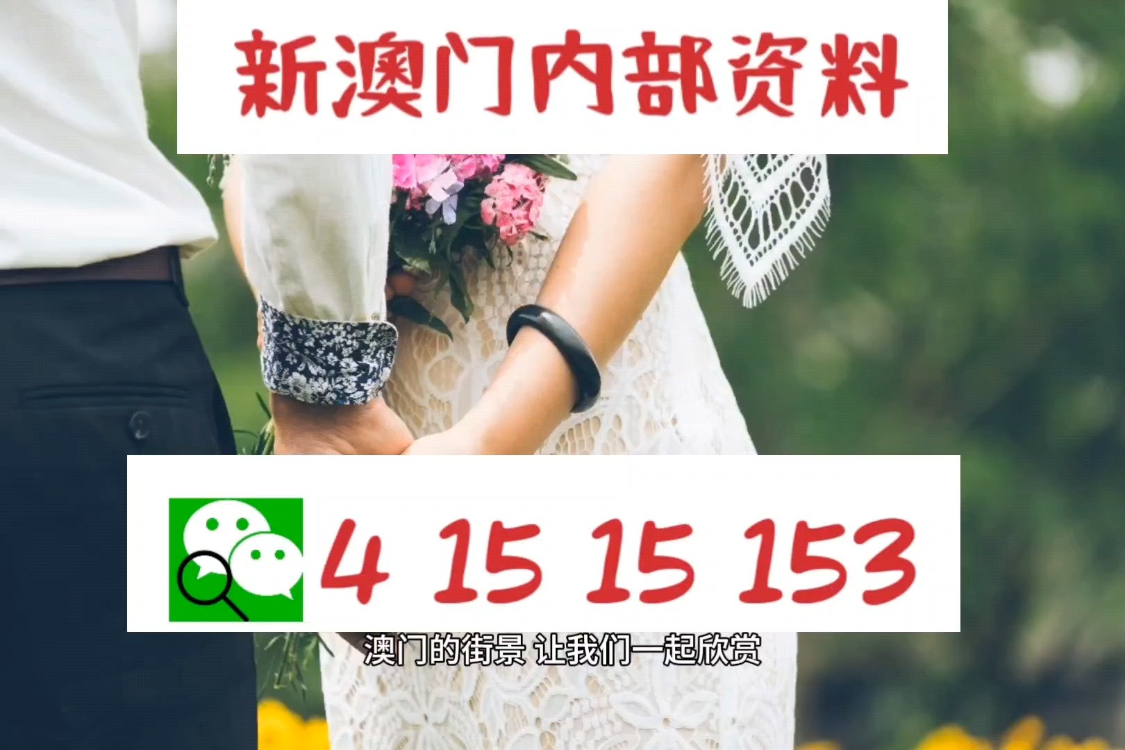 澳门今晚9点30开什么反馈调整和优化,澳门今晚9点30开什么_专属版80.933