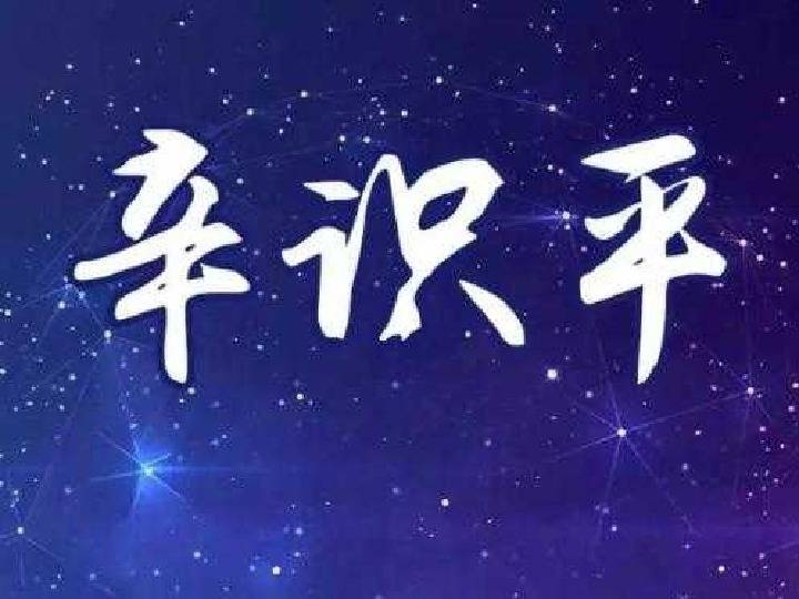 初三之年，躺平的日子，收获与成长的交织