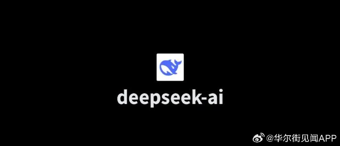 揭秘DeepSeek风波，专家热议争议与攻击事件