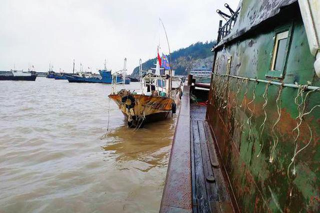 浙船闽东海域遇险沉没事件揭秘，灾难背后的真相