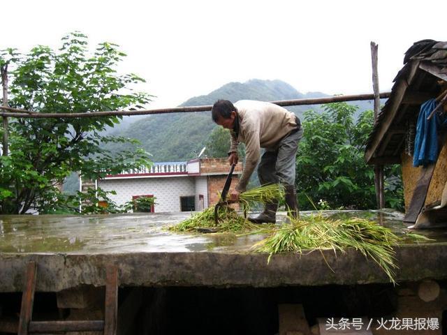 众人烧柴烤火瞬间突发惊天爆炸，惊魂一刻背后的真相揭秘