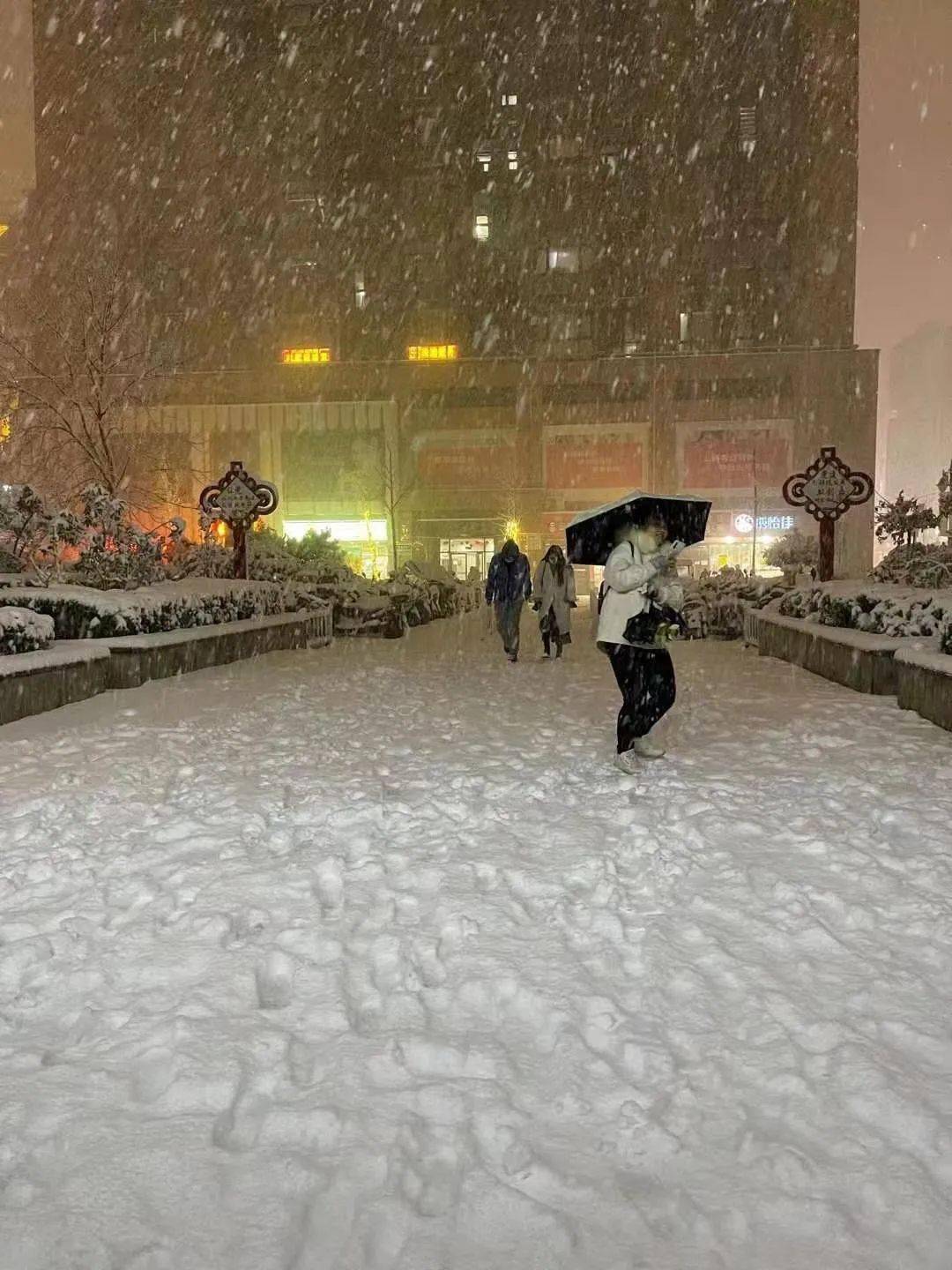 河南或现暴雪，揭秘极端天气背后的真相与应对之策！